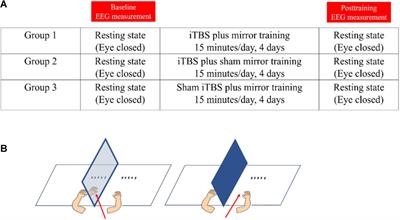 The Modulatory Effects of Intermittent Theta Burst Stimulation in Combination With Mirror Hand Motor Training on Functional Connectivity: A Proof-of-Concept Study